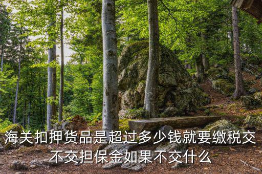 納稅擔保什么意思，海關(guān)扣押貨品是超過多少錢就要繳稅交不交擔保金如果不交什么