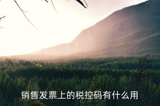 發(fā)票稅控碼是什么，國稅發(fā)票稅控碼