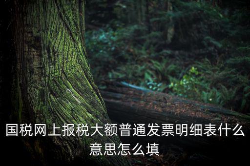 國稅網(wǎng)上報(bào)稅大額普通發(fā)票明細(xì)表什么意思怎么填