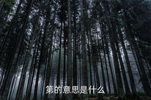 第稽什么意思，第是什么意思