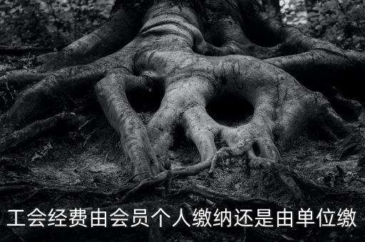工會經(jīng)費由會員個人繳納還是由單位繳