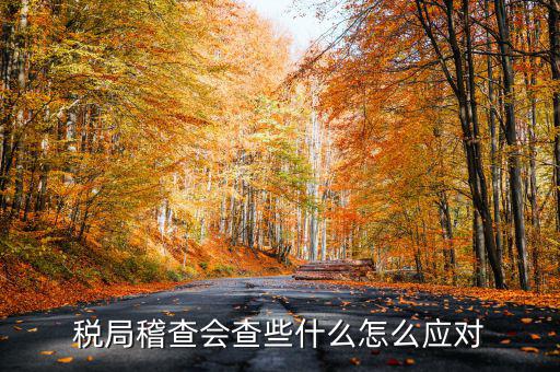 發(fā)票稽查查什么，稅局稽查會查些什么怎么應(yīng)對