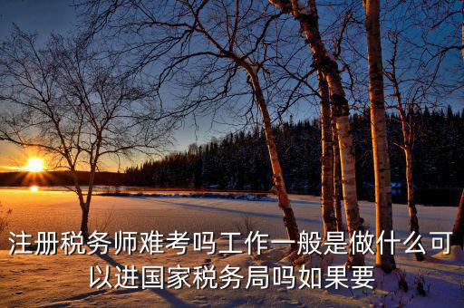 稅務(wù)師是什么，注冊(cè)稅務(wù)師能干什么待遇怎么樣