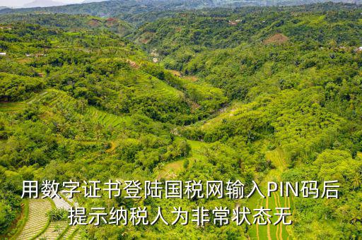 用數字證書登陸國稅網輸入PIN碼后提示納稅人為非常狀態(tài)無
