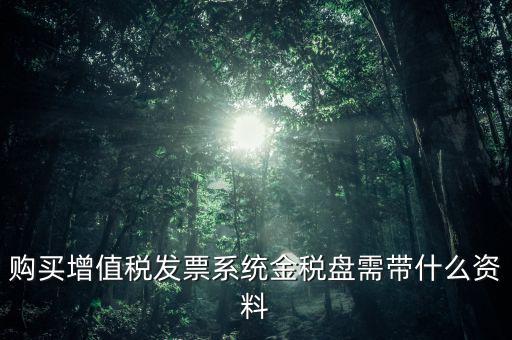 購(gòu)買金稅盤要什么資料，購(gòu)買增值稅發(fā)票系統(tǒng)金稅盤需帶什么資料
