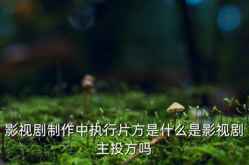 什么是分立主導(dǎo)方，股權(quán)分立是什么意思