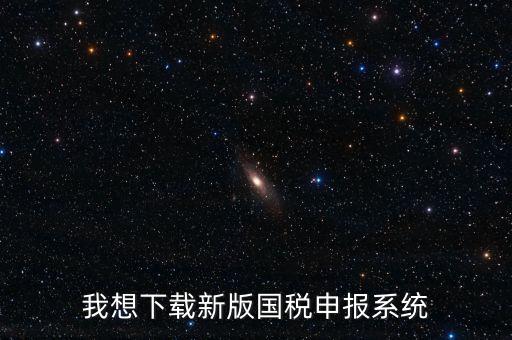 新疆國(guó)稅報(bào)稅什么系統(tǒng)下載，我想下載新版國(guó)稅申報(bào)系統(tǒng)