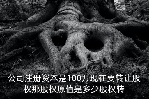 股權(quán)原值是什么意思，公司注冊資本是100萬現(xiàn)在要轉(zhuǎn)讓股權(quán)那股權(quán)原值是多少股權(quán)轉(zhuǎn)