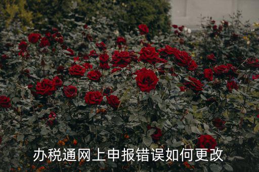 更改辦稅人什么網(wǎng)站，國(guó)稅變更財(cái)務(wù)人員在哪里變更稅控盤(pán)上可以更改嗎