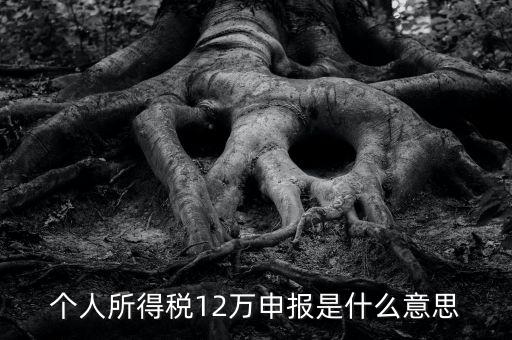 申報個稅是什么意思，12萬以上個人所得稅申報是什么意思