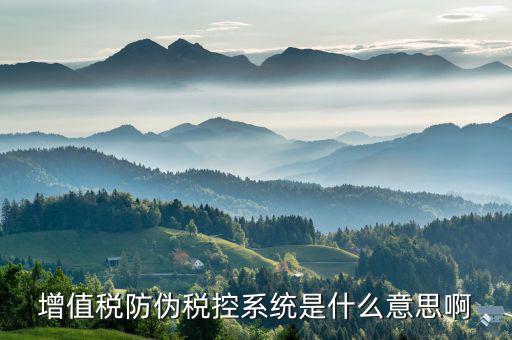 防偽稅控盤是什么，什么是防偽稅控系統(tǒng)金稅請解釋詳細明白點