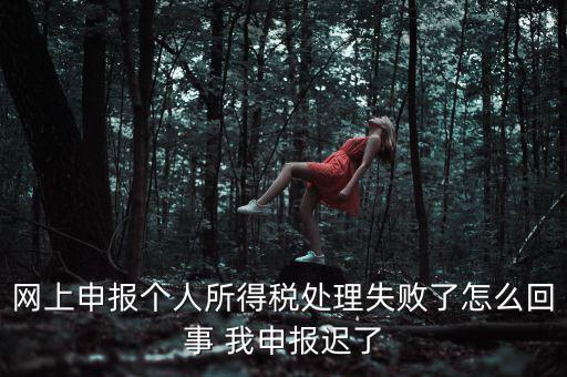 網(wǎng)上申報(bào)個人所得稅處理失敗了怎么回事 我申報(bào)遲了