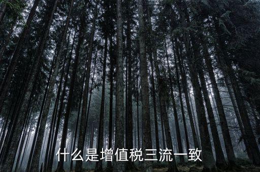 發(fā)票的流向相符是什么意思，普通增值稅發(fā)票資金流向要相符嗎