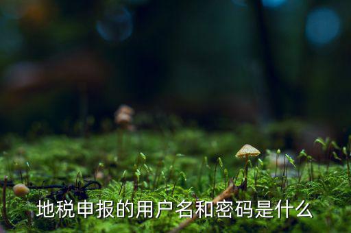 杭州地稅用戶(hù)名是什么意思，地稅的用戶(hù)名是什么