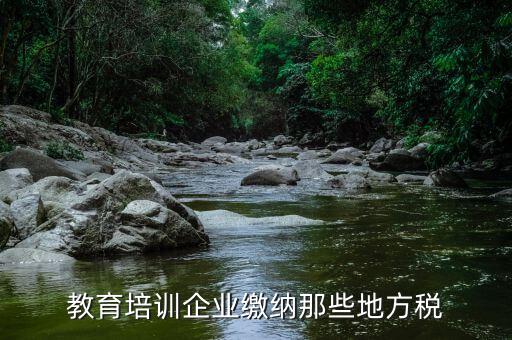 教育培訓(xùn)班要交什么稅，教育培訓(xùn)企業(yè)繳納那些地方稅