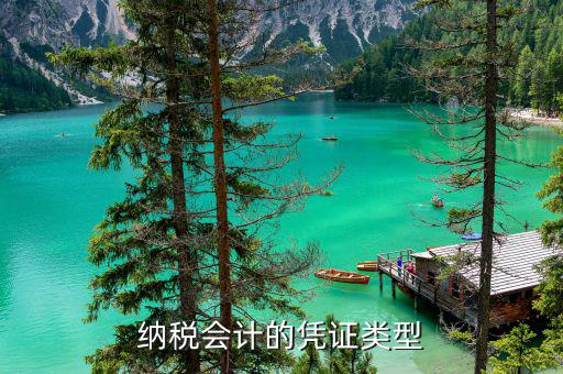 應(yīng)納稅憑證種類是什么意思，總賬里關(guān)于記賬憑證的種類和號數(shù)是什么意思