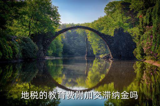 教育費附加為什么不用交滯納金，地稅的教育費附加交滯納金嗎