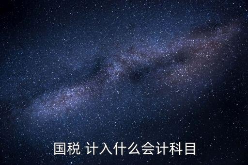 國稅申報記入什么科目，付國稅應計入什么科目求解啊