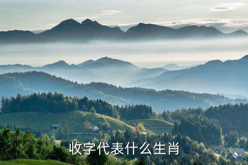 稅字代表什么生肖，十二生肖各代表什么字