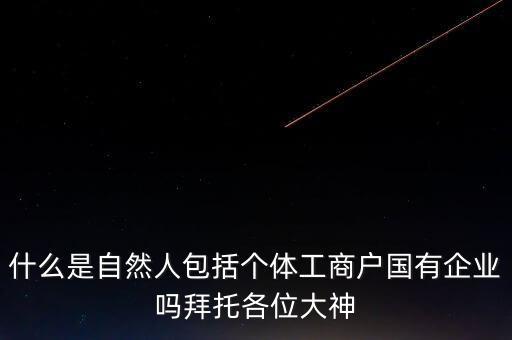 稅務(wù)上的自然人指的是什么，申請(qǐng)人為自然人的是什么意思