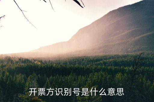 開票人納稅人識別號是什么，開票方識別號是什么意思