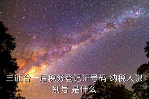 納稅人識別號 稅務(wù)代碼是什么意思，納稅人識別號是什么