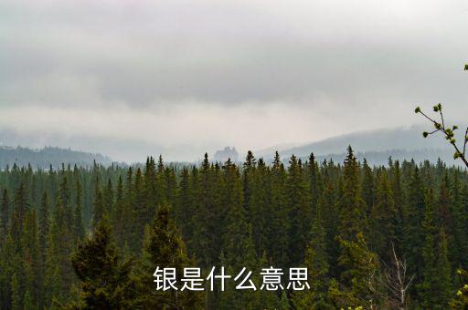 財稅庫銀是什么意思，銀是什么意思