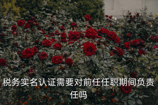 稅務(wù)實名認(rèn)證需要對前任任職期間負(fù)責(zé)任嗎