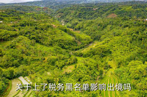 關于上了稅務黑名單影響出境嗎