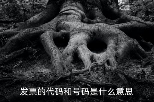 什么是打發(fā)票代碼，請教各位什么事發(fā)票代碼