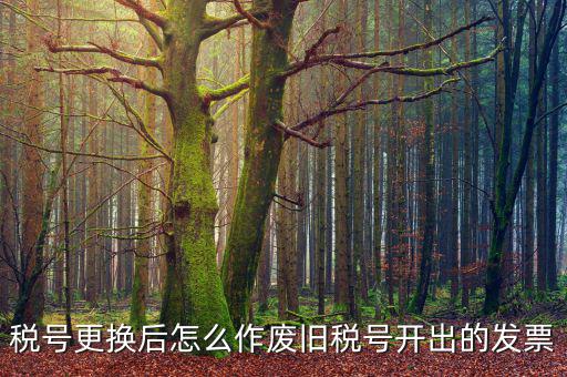 變稅號需要做什么，稅號更換后怎么作廢舊稅號開出的發(fā)票