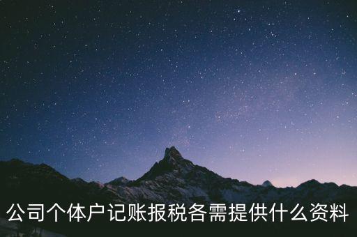 個體報(bào)稅帶什么手續(xù)，個體戶怎樣報(bào)稅