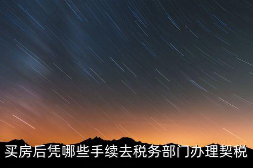 購(gòu)房要在國(guó)稅辦什么，現(xiàn)在買(mǎi)房要辦些什么證件買(mǎi)房者與賣(mài)房者所交稅務(wù)有那些夠房者現(xiàn)