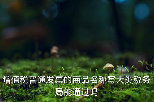 增值稅普通發(fā)票的商品名稱(chēng)寫(xiě)大類(lèi)稅務(wù)局能通過(guò)嗎