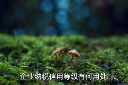 納稅等級有什么用，請問什么是分級別納稅信用單位怎么得到這種稱號得到了又有啥好