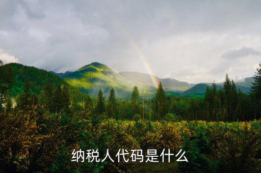 個人納稅人代碼是什么，納稅人代碼是什么