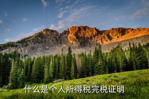 個(gè)人所得稅完稅是什么，招聘時(shí)說的稅后這個(gè)稅是指的什么