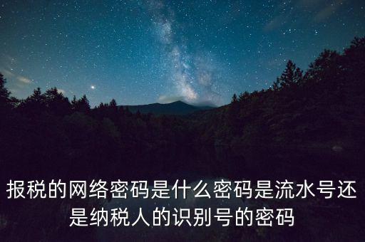 報(bào)稅的網(wǎng)絡(luò)密碼是什么密碼是流水號還是納稅人的識別號的密碼