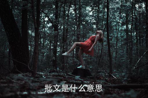 稅收個案批復(fù)是什么意思，批文是什么意思