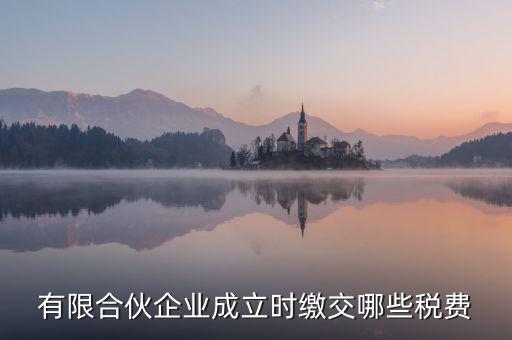 有限合伙企業(yè)成立時繳交哪些稅費(fèi)