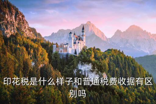 稅花什么樣，印花稅是什么樣子和普通稅費收據(jù)有區(qū)別嗎