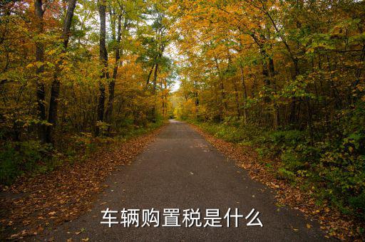 車購稅資金是什么，購置稅是什么