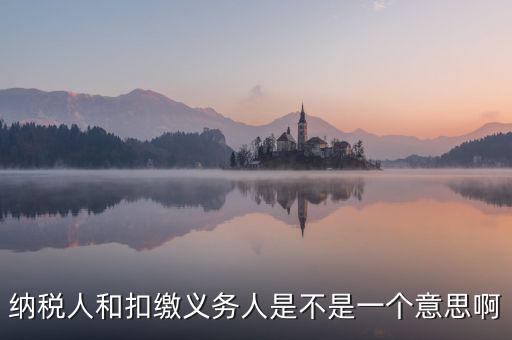 稅務(wù)人是什么，什么是納稅義務(wù)人