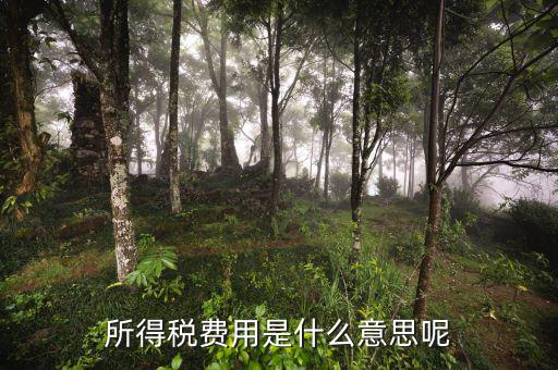 所得稅支出什么意思，企業(yè)所得稅是什么意思
