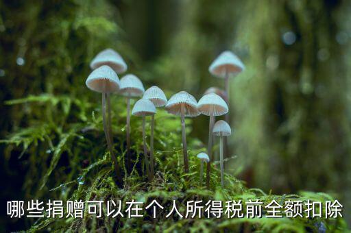 什么捐贈(zèng)可以稅前扣除，求助企業(yè)在所得稅前可以扣除的捐贈(zèng)支出