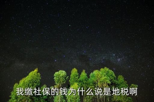 我繳社保的錢(qián)為什么說(shuō)是地稅啊