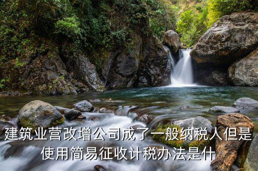 簡(jiǎn)易計(jì)稅法是什么，簡(jiǎn)易計(jì)稅法開具的是增值稅普通發(fā)票嗎