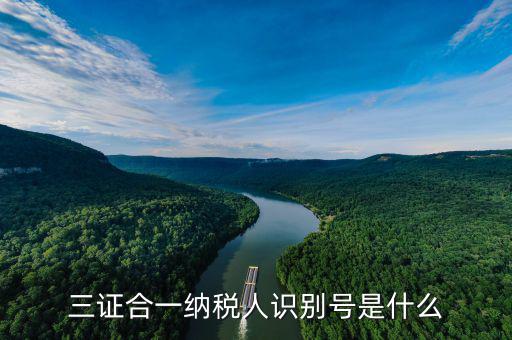 三證合一稅務(wù)識(shí)別號(hào)是什么，三證合一后納稅人識(shí)別號(hào)是什么意思