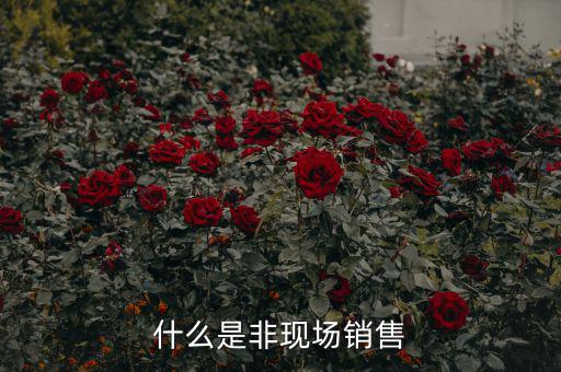 什么是非現(xiàn)場(chǎng)消費(fèi)食品，什么是非現(xiàn)場(chǎng)消費(fèi)的食品