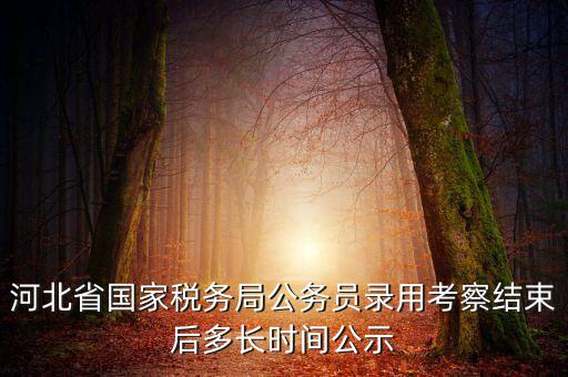 國稅一般什么時候公示，河北省國家稅務局公務員錄用考察結(jié)束后多長時間公示